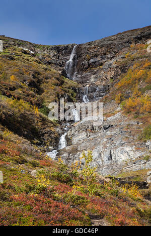 Abisko,parco nazionale,brook,montagna,l'Europa,autunno,autunno colori,paesaggio, paesaggio,Lapponia,Njulla,Svezia,Scandinavia Foto Stock