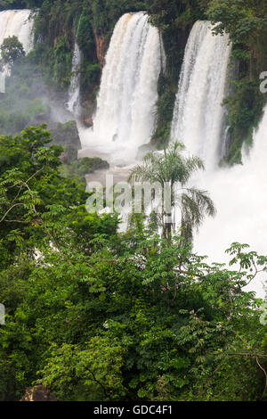 Cascate di Iguassù,Argentina Foto Stock