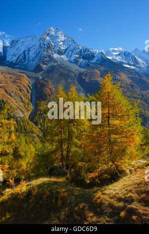 Dent de Perroc,Aiguille de la Tsa, Vallese, Svizzera Foto Stock