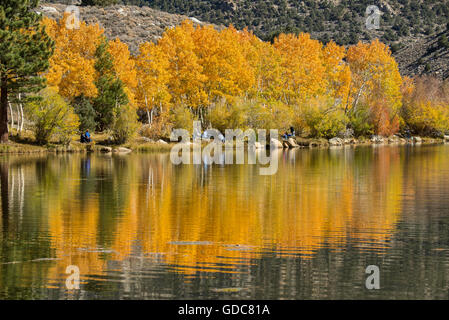 Stati Uniti d'America,California,Sierra orientale,Vescovo,Vescovo creek in autunno Foto Stock