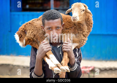 Ragazzo etiope che trasportano capra dal mercato, sbarcare, Amhara Region Foto Stock