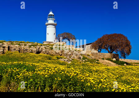 Antico anfiteatro a Paphos, Cipro Foto Stock