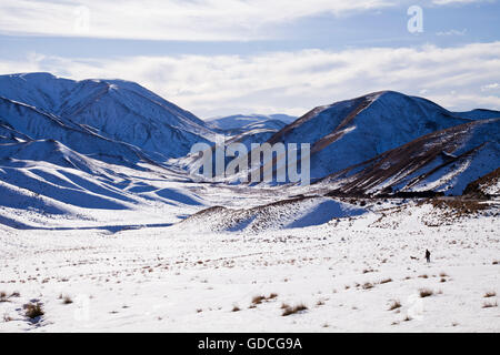 Uomo che cammina il suo cane tra le coperte di neve a sud dell'isola paesaggio, Canterbury, Nuova Zelanda Foto Stock