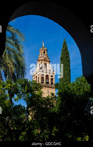 Il Campanile de La Mezquita di Córdoba nel sud della provincia spagnola di Andalusia in precedenza una città romana e una cultura islamica Foto Stock