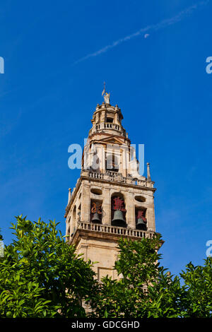 Il Campanile de La Mezquita di Córdoba nel sud della provincia spagnola di Andalusia in precedenza una città romana e una cultura islamica Foto Stock