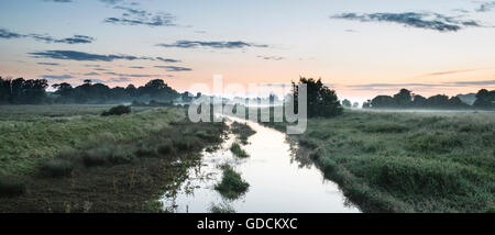 Incredibile vibrante estate alba inglese paesaggio di campagna Foto Stock