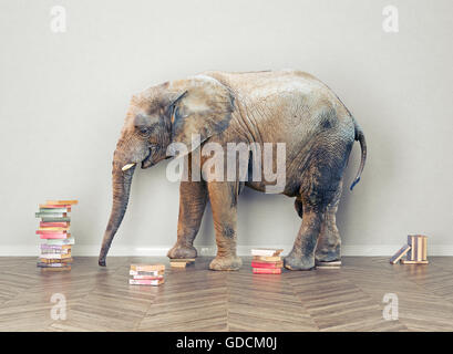 Un elefante in camera con booksl. Concetto creativo Foto Stock