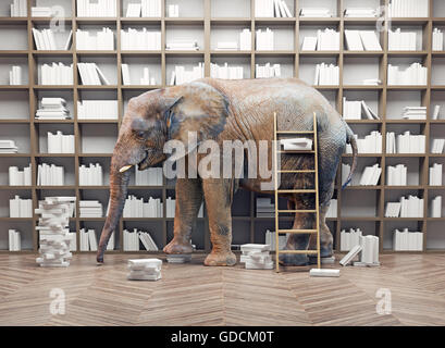 Un elefante in camera con libro scaffali. Concetto creativo Foto Stock