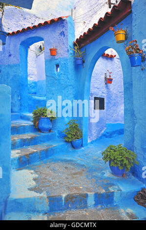 Blue House a Chefchaouen, Marocco Foto Stock