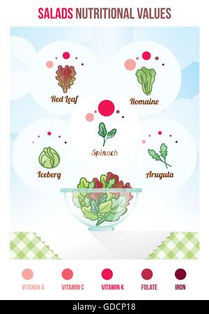 Insalate valori nutrizionali con una infografica, varietà di insalate e recipiente pieno Illustrazione Vettoriale