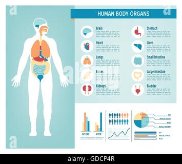 Il corpo umano health care infographics, con icone di medici, organi, grafici diagarms e spazio di copia Illustrazione Vettoriale