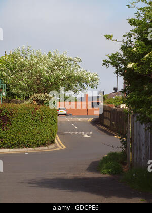 Le strade e dissipare le vie del borgo storico di Tynemouth tre dove il vecchio re del reame sono sepolti nel castello. Foto Stock