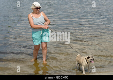 Sorridente donna invecchiato con pug al guinzaglio sono in piedi in poco profondo fiume di acqua sul lungofiume. Foto Stock