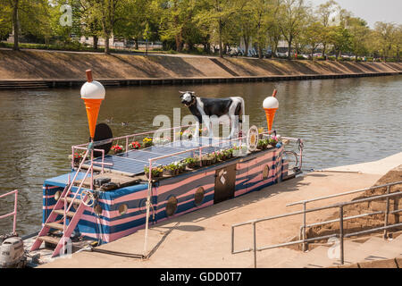 La piena Moo ice cream boat ormeggiato sulle rive del fiume Ouse in York Foto Stock