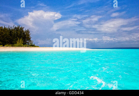 Mari turchese spento la polvere bianca spiaggia di sabbia a Mnembe isola al largo della costa di Zanzibar Africa orientale Foto Stock
