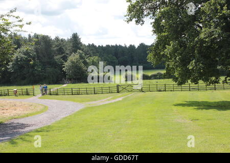 Alberi sulla skyline di Bosworth campi Foto Stock