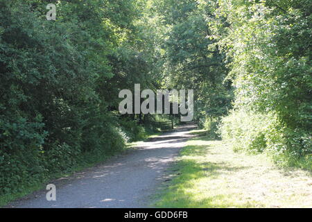 Battaglia di Bosworth paese a piedi Foto Stock