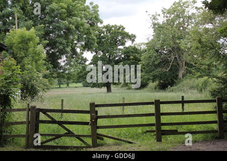 Cancello e recinzione, alberi su Bosworth campi di battaglia Foto Stock