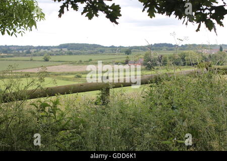 Battaglia di Bosworth campi paesaggio con recinto Foto Stock