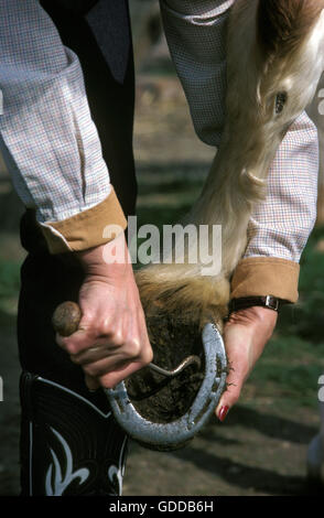 Donna prendendo piede di cavallo Foto Stock