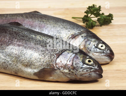 Freschi di trota arcobaleno Salmo gairdnerii con prezzemolo Foto Stock