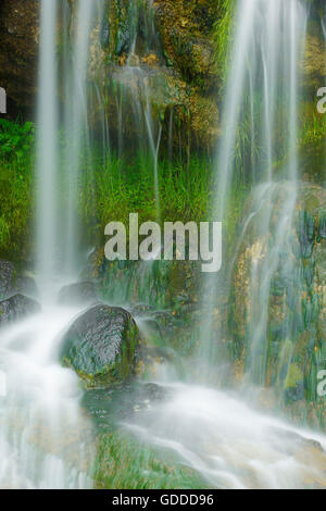 Cascata dettaglio,San Gallen, Svizzera Foto Stock