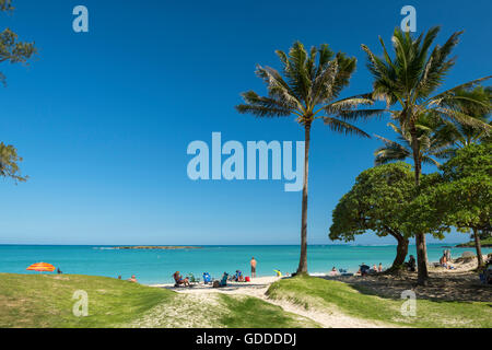 Stati Uniti d'America,Hawaii,Oahu,STATI UNITI D'AMERICA,Hawaii,Oahu,Kailua,Kailua Beach Foto Stock