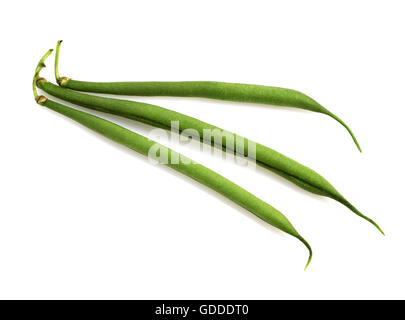 Fagioli verdi o francese Fagioli Phaseolus vulgaris contro uno sfondo bianco Foto Stock