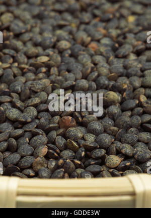 Francese di lenticchie verdi chiamato Puy lenticchie Foto Stock