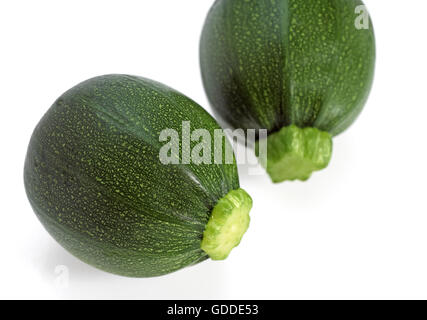 Rotondo o Zucchine Zucchine cucurbita pepo Foto Stock