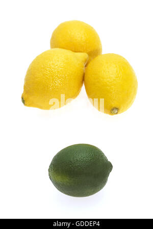 Il giallo dei limoni, Citrus limonum e limone verde, Citrus aurantifolia contro uno sfondo bianco Foto Stock