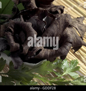 Corno dell'Abbondanza, funghi Craterellus cornucopioides Foto Stock