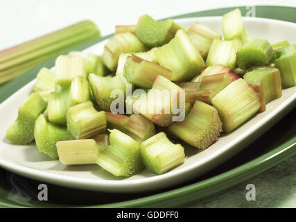 Rabarbaro, Rheum rhabarbarum Foto Stock