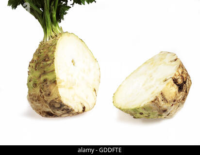 Il sedano rapa Apium graveolens contro uno sfondo bianco Foto Stock