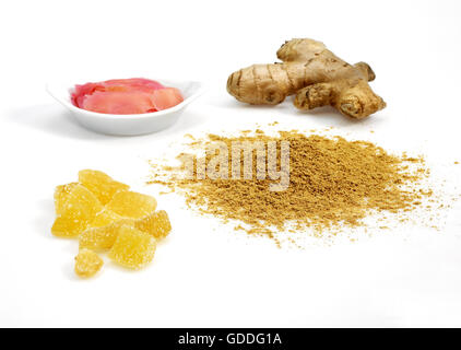 Lo zenzero Zingiber officinale, polvere, radice, marinato e cristallizzato contro uno sfondo bianco Foto Stock