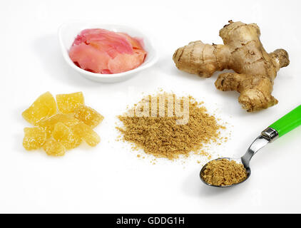 Lo zenzero Zingiber officinale, polvere, radice, marinato e cristallizzato Foto Stock