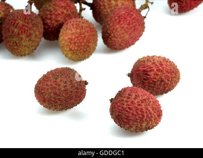 LITCHI O LITCHEE litchi sinensis contro uno sfondo bianco Foto Stock