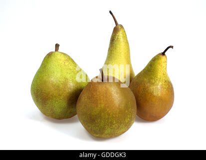 Beurre Hardy, Conferenza Comice et le pere Williams, Pyrus communis, frutti contro uno sfondo bianco Foto Stock