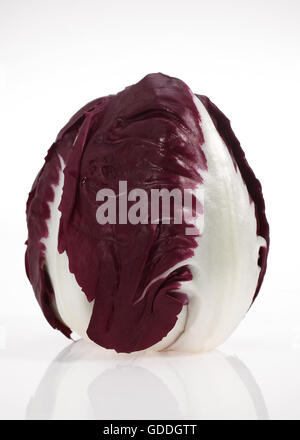 Trevise insalata, cichorium intybus, vegetali contro Bakcground bianco Foto Stock