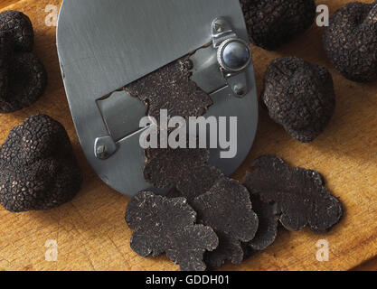 Il Perigord tartufo, tuber melanosporum, i funghi tagliati a fette sottili Foto Stock