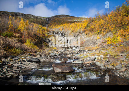 Abisko,parco nazionale,brook,montagna,l'Europa,autunno,autunno colori,paesaggio, paesaggio,Lapponia,Njulla,Svezia,Scandinavia Foto Stock