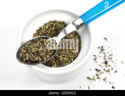 Origano o maggiorana contro uno sfondo bianco Foto Stock