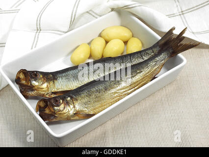 Aringa affumicata o Bouffi Bloaster, Clupea harengus, Pesci affumicati con patate Foto Stock