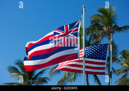 Maui,noi bandiera,banner,STATI UNITI D'AMERICA,Hawaii,l'America,bandiera,bandiere,palme, Foto Stock