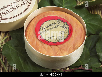 Epoisses, Cow-Milk francese di formaggio dalla Borgogna Foto Stock