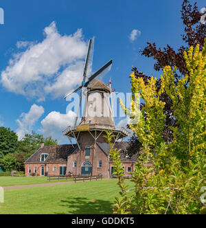 Roderwolde,Drenthe,Mulino a vento chiamato Woldzigt Foto Stock