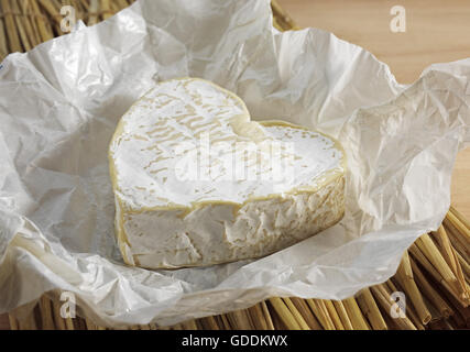 Neufchatel, formaggio francese realizzato in Normandia a partire dal latte di vacca Foto Stock