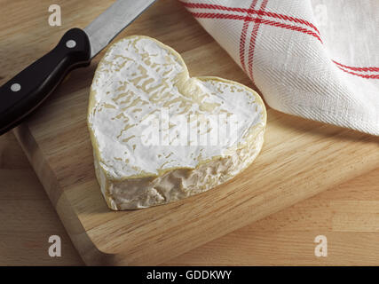 Neufchatel, formaggio francese prodotto in Normandia a partire dal latte di vacca Foto Stock