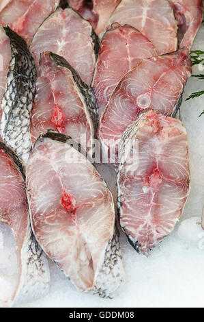Cernia fresco su ghiaccio al negozio di pesce Foto Stock