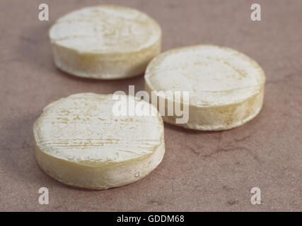 Formaggio francese chiamato Rocamadour, formaggio prodotto con latte di capra Foto Stock